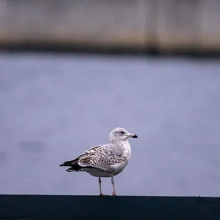 Holiday home Voslapper Seeluft Wilhelmshaven