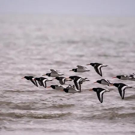 Voslapper Seeluft Holiday home Wilhelmshaven