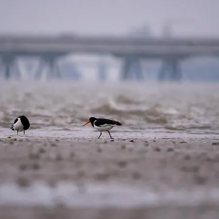 Voslapper Seeluft Wilhelmshaven